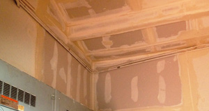 mold drywall damage and repair