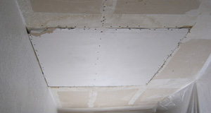 David's Drywall - Affordable Water Damage & Drywall Repair Services